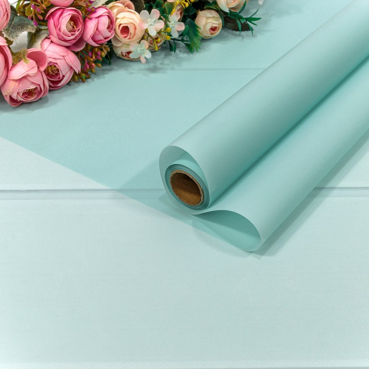 1657/317 Плёнка 0,58*10м матовая однотонная 55мкм Светло-голубой 1/30 1657/317 Плёнка 0,58*10м матовая однотонная 55мкм Светло-голубой 1/30