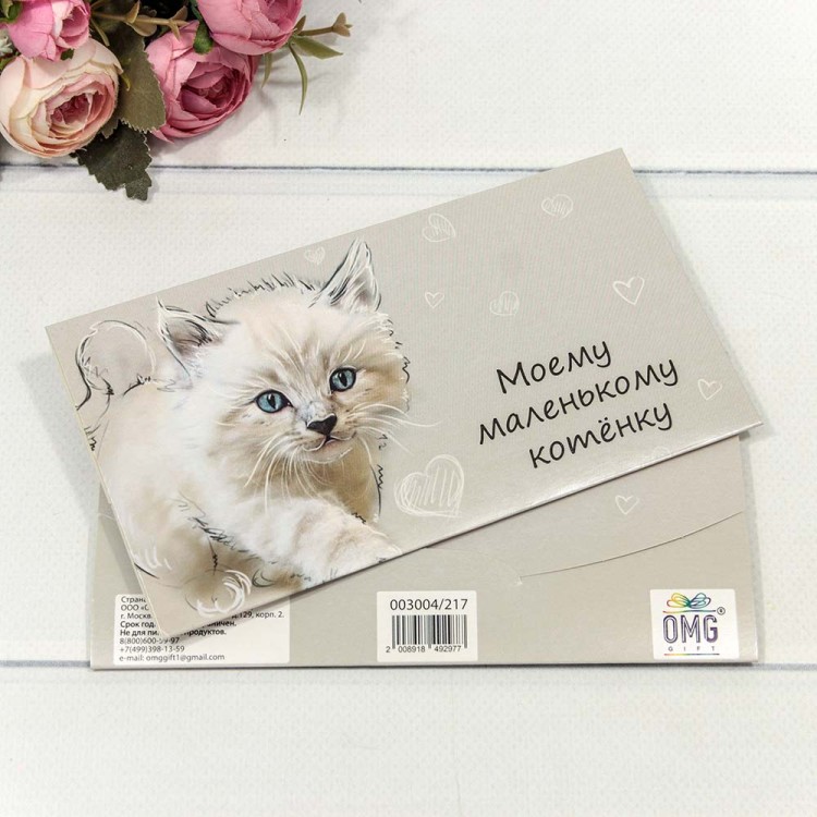 003004/217 Конверт подарочный 16,5*9см 1/10 1/720