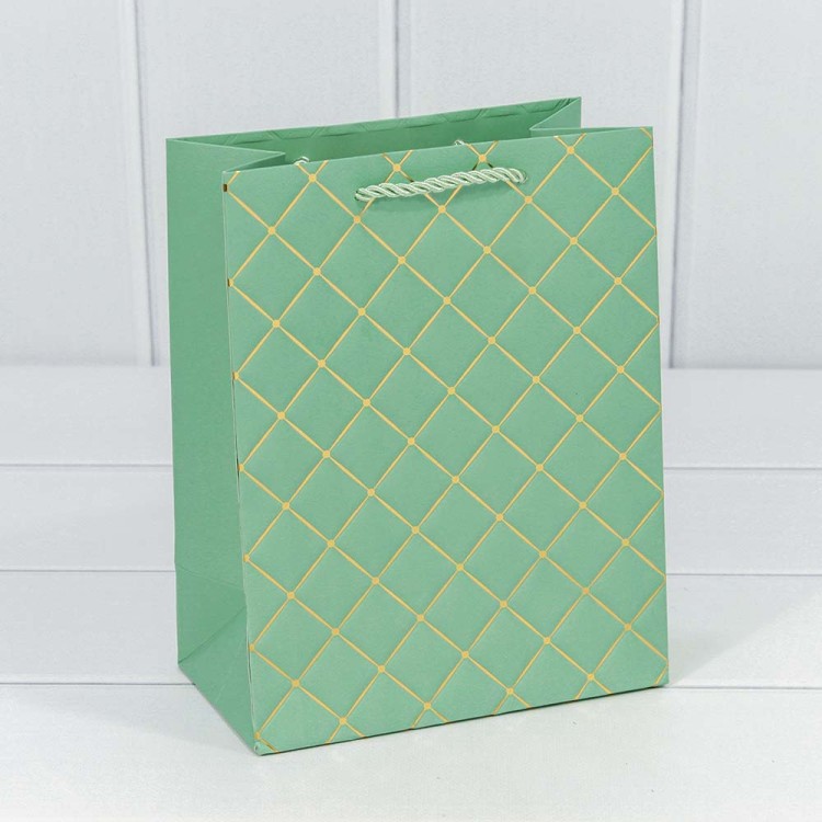 000391E/10 Пакет подарочный "Ромб" Зелёный 18*23*10 210г 1/20 1/360 000391E/10 Пакет подарочный "Ромб" Зелёный 18*23*10 210г 1/20 1/360