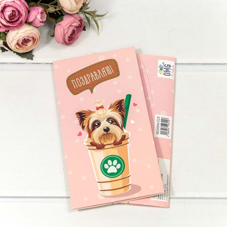 003004/223 Конверт подарочный 16,5*9см 1/10 1/250