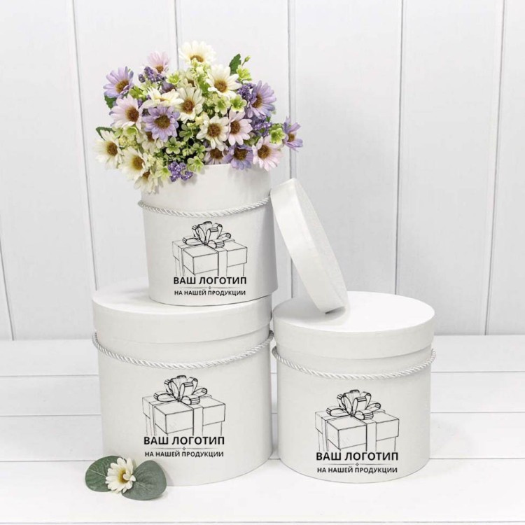 Коробки с Вашим логотипом (от 1000 наборов/5000 шт./ 150000 руб.) Коробки с Вашим логотипом (от 1000 наборов/5000 шт./ 150000 руб.)