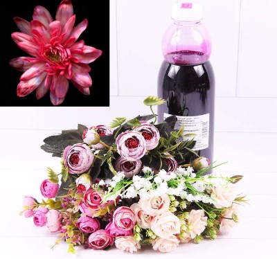 1400009 Краска для живых цветов Красная 1 л 1/1 1400009 Краска для живых цветов Красная 1 л 1/1