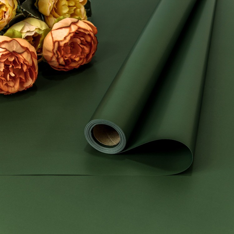 1738/2410 Плёнка для упаковки 0,7*10м 65мкм Зелёный 1/30 1738/2410 Плёнка для упаковки 0,7*10м 65мкм Зелёный 1/30