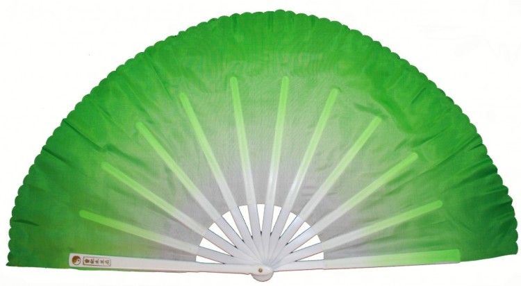 VR10-24 Веер для танцев зеленый 82 см 1/2