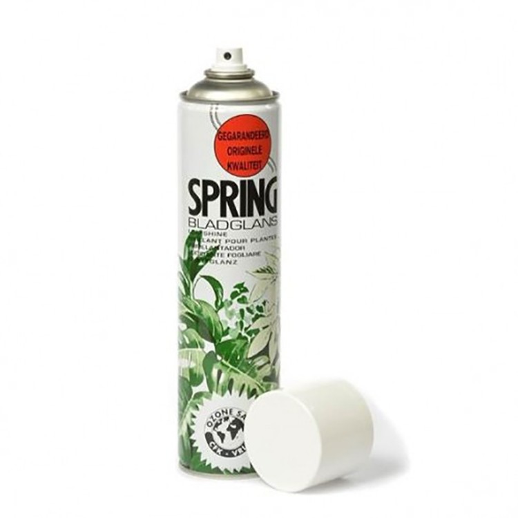 22092 Глянец для листьев 250 мл 1/1 22092 Глянец для листьев 250 мл 1/1