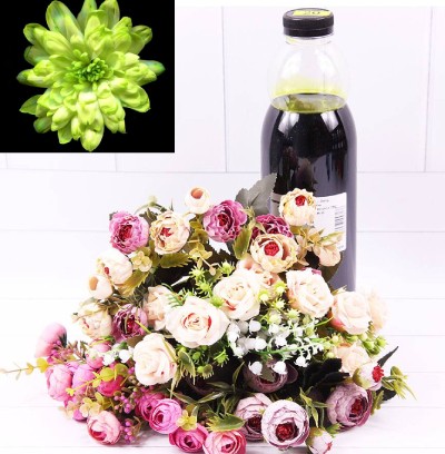 1400012 Краска для живых цветов Фисташковая 1 л 1/1 1400012 Краска для живых цветов Фисташковая 1 л 1/1