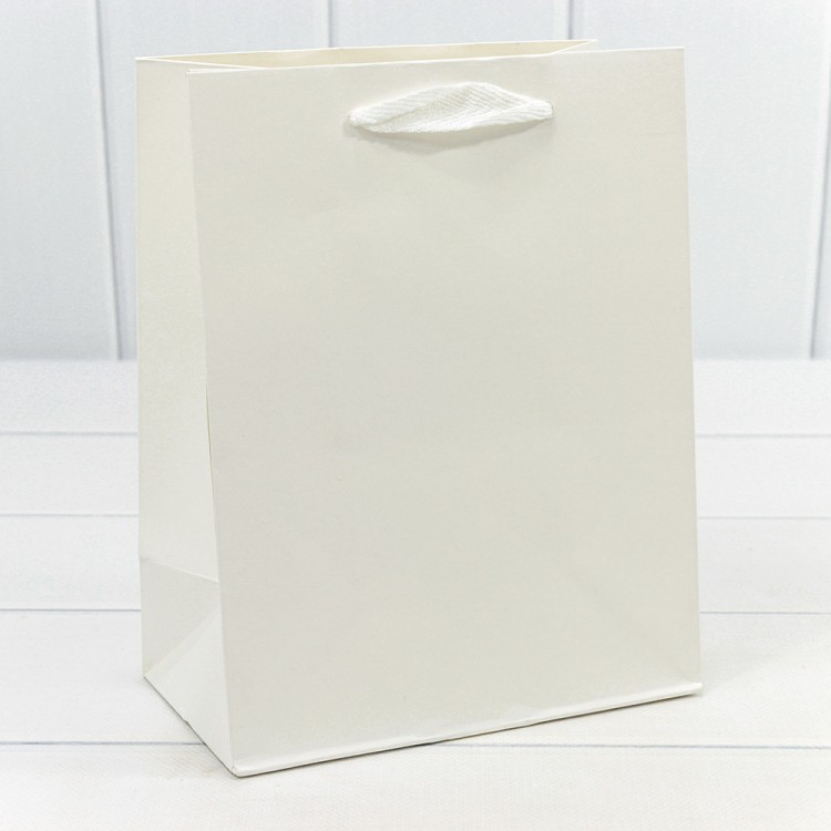 000221E/9 Пакет подарочный Крафт "Люкс" 18*23*10 210г Белый 1/10 1/360 000221E/9 Пакет подарочный Крафт "Люкс" 18*23*10 210г Белый 1/10 1/360